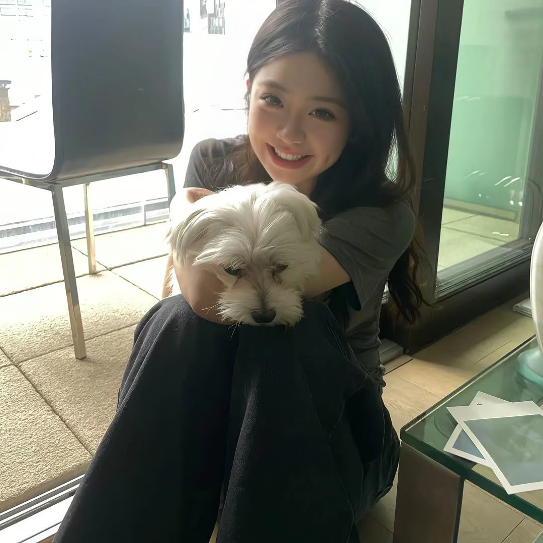 孤独的美食家 第七季